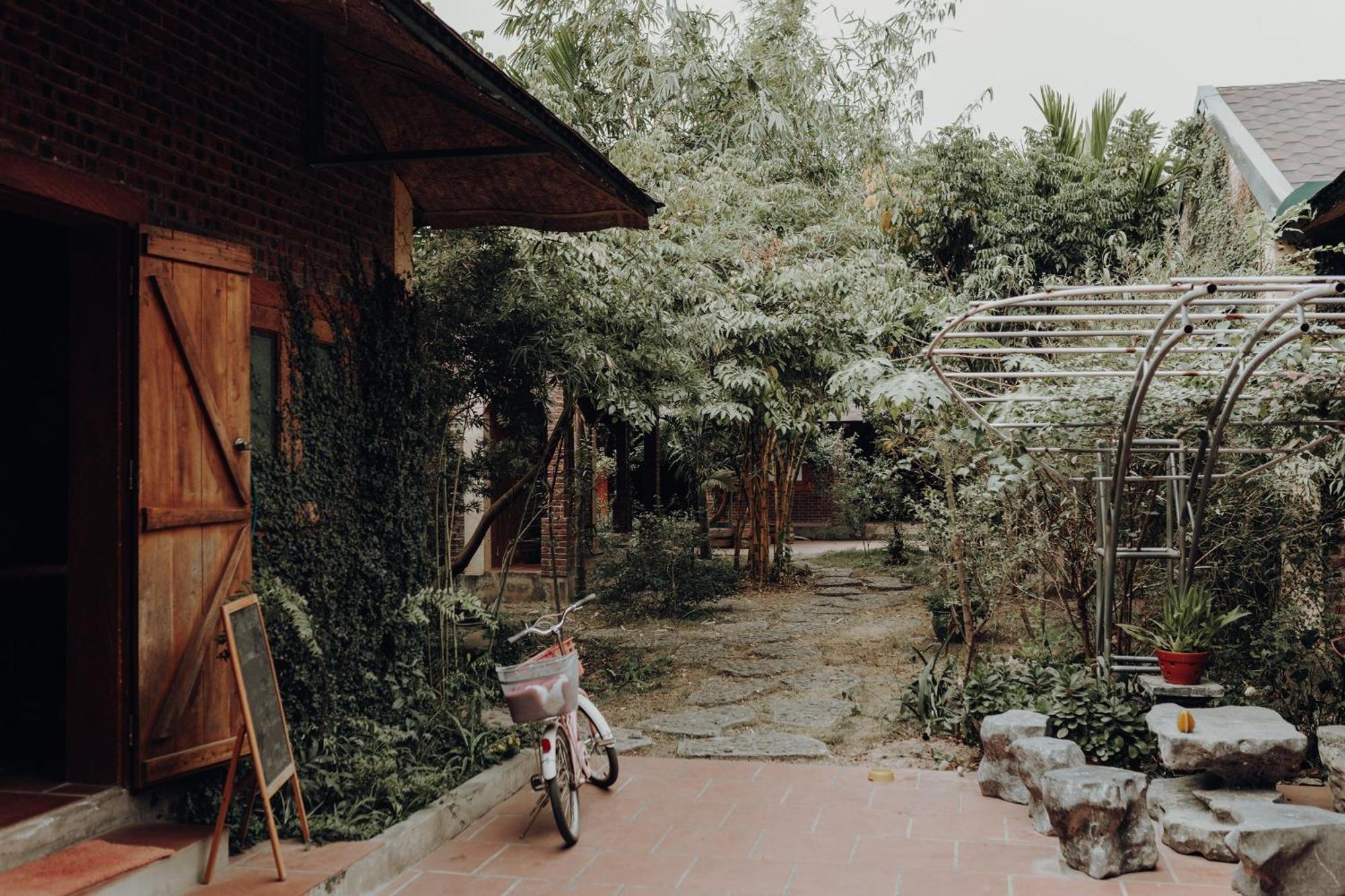 Ninh Binh Palm Homestay Екстериор снимка