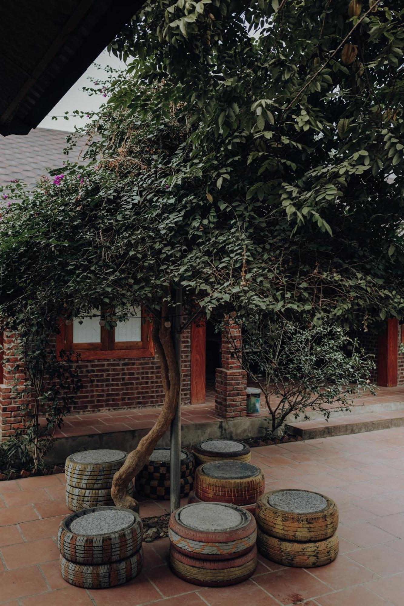 Ninh Binh Palm Homestay Екстериор снимка