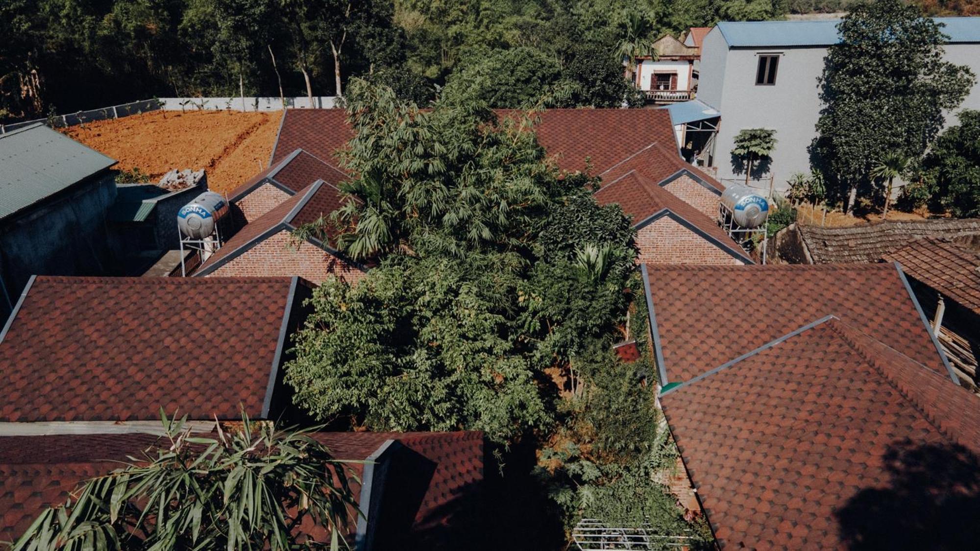 Ninh Binh Palm Homestay Екстериор снимка