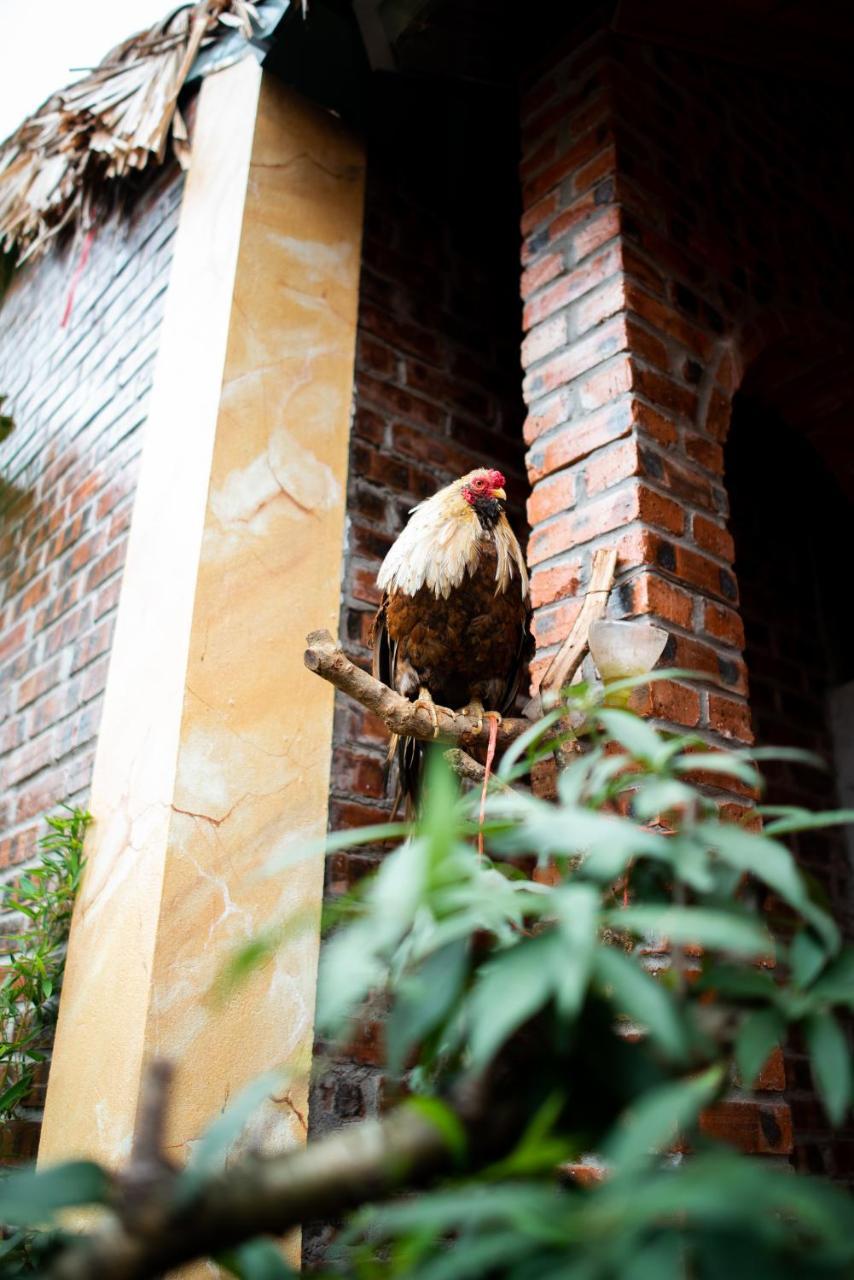 Ninh Binh Palm Homestay Екстериор снимка